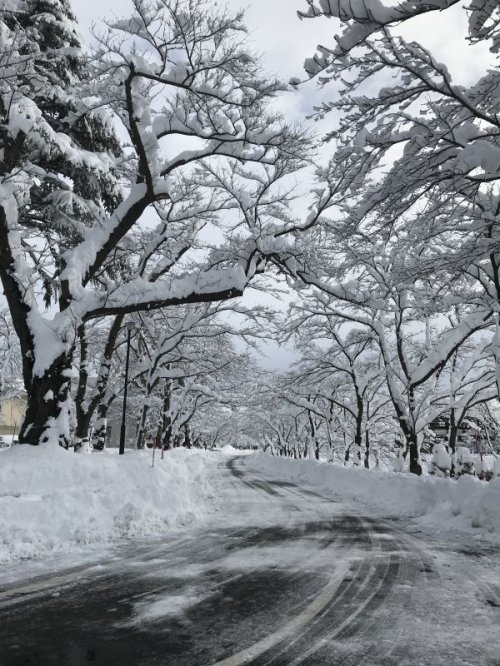 特別な雪景色？