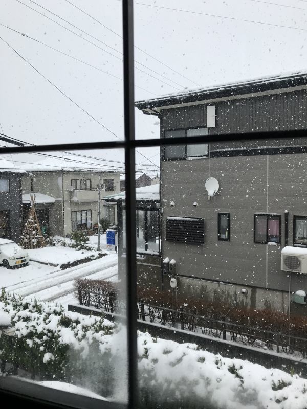 とうとう雪・・・