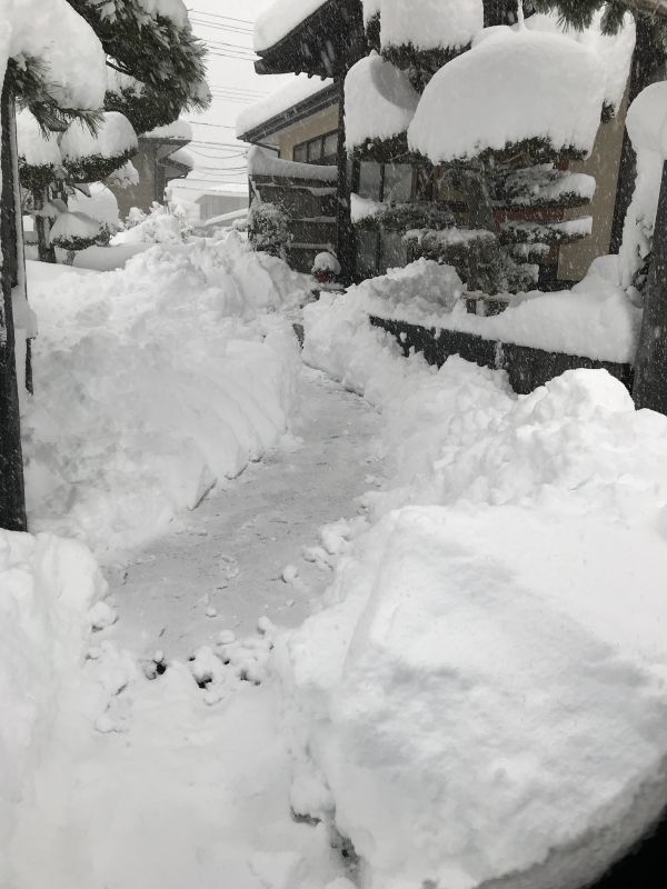 一気に雪景色( ；∀；)