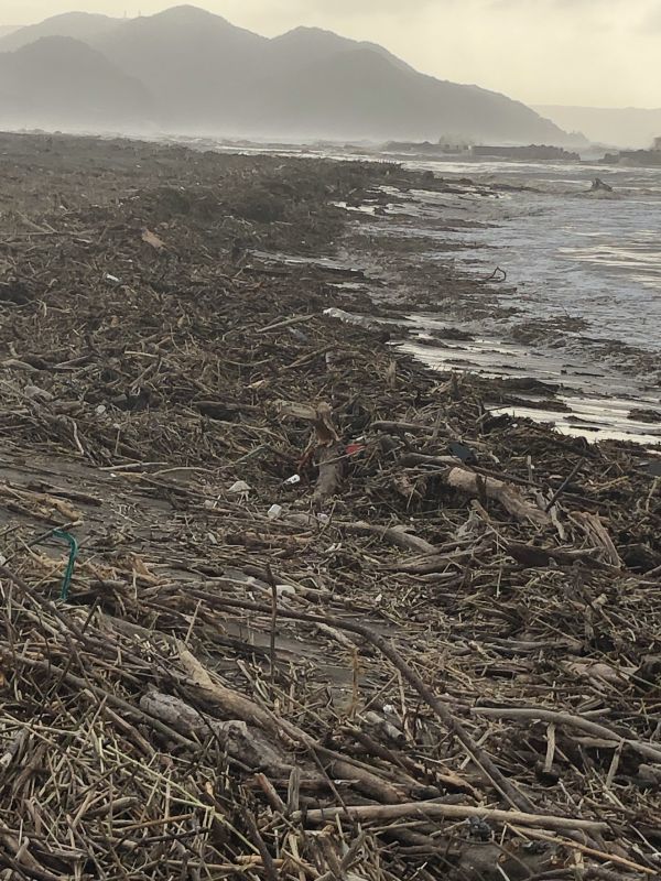 画像: 台風19号の爪痕